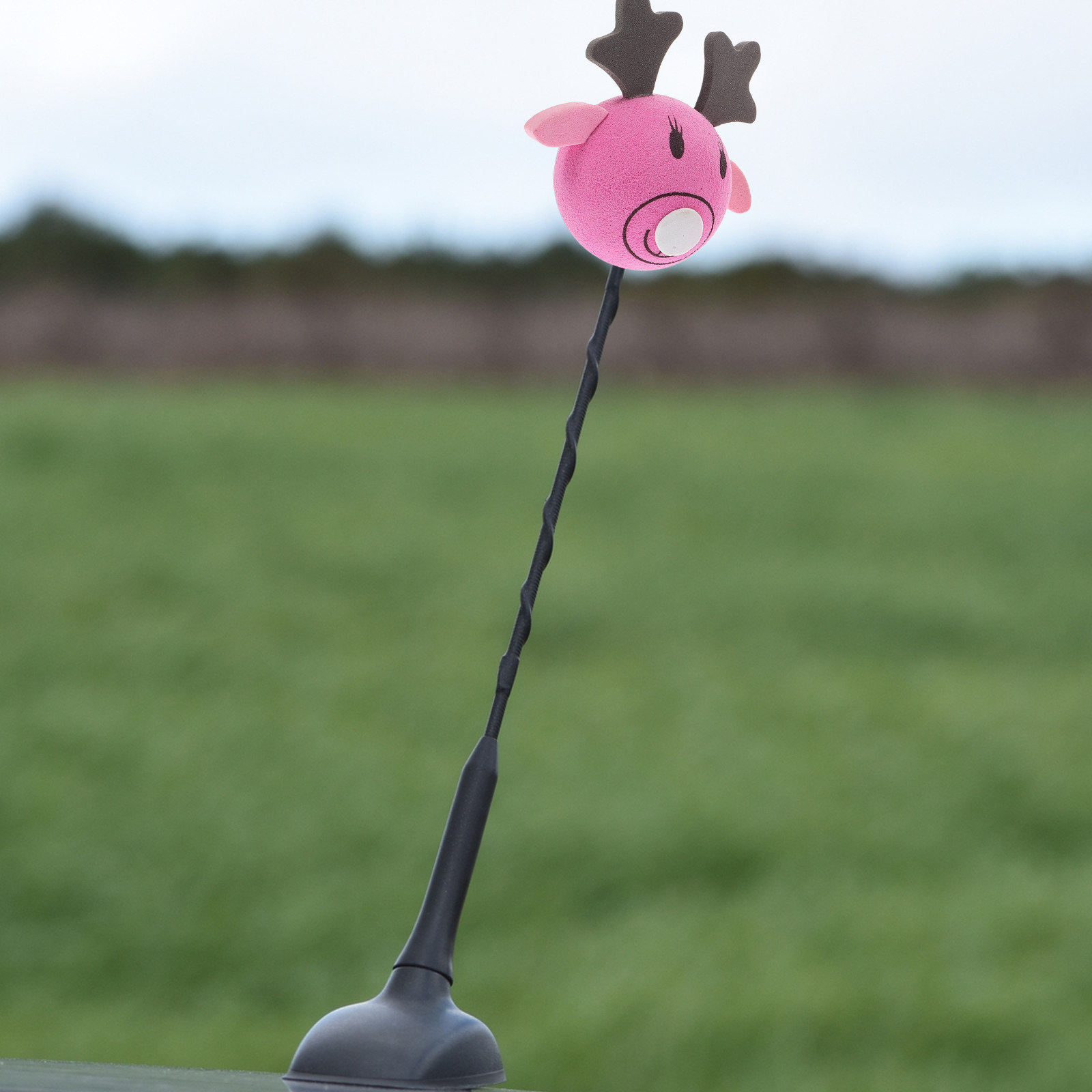 2 pièces de boules d'antenne d - Car Accessories Unique avis et prix