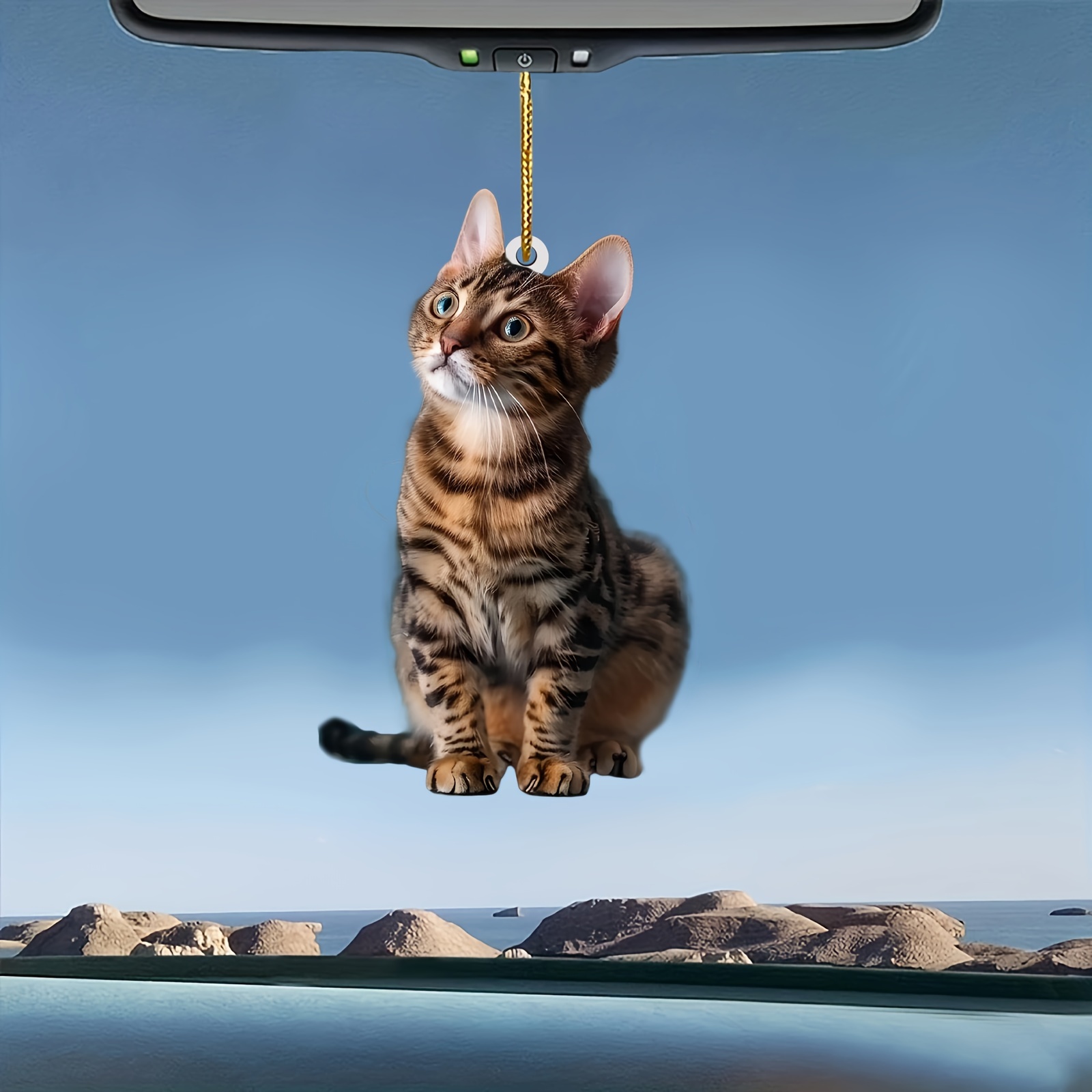 Pendentif chat plat 2D en acry - Car Accessories Oman avis et prix
